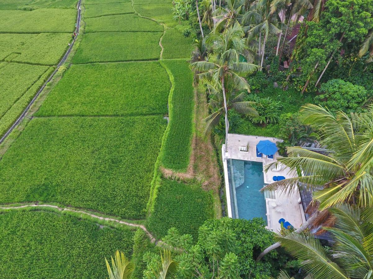 Villa Balinese Luxurious Elegance Ubud Buitenkant foto