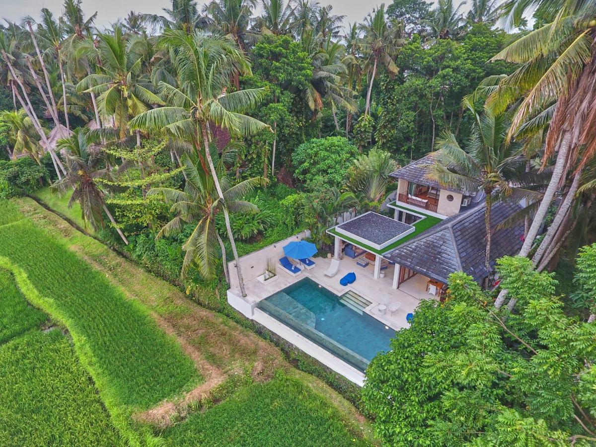 Villa Balinese Luxurious Elegance Ubud Buitenkant foto