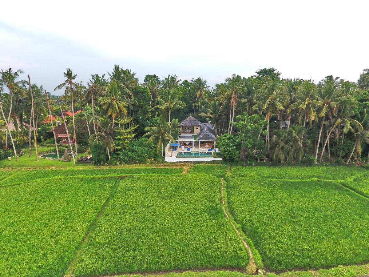 Villa Balinese Luxurious Elegance Ubud Buitenkant foto