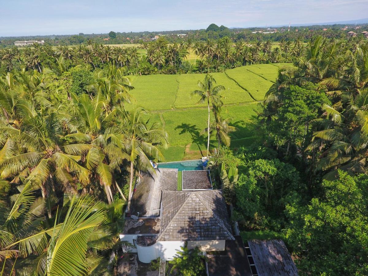 Villa Balinese Luxurious Elegance Ubud Buitenkant foto