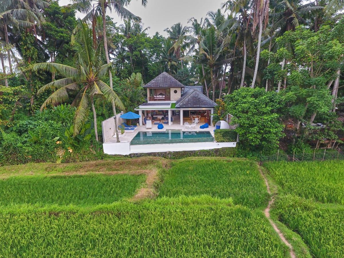 Villa Balinese Luxurious Elegance Ubud Buitenkant foto