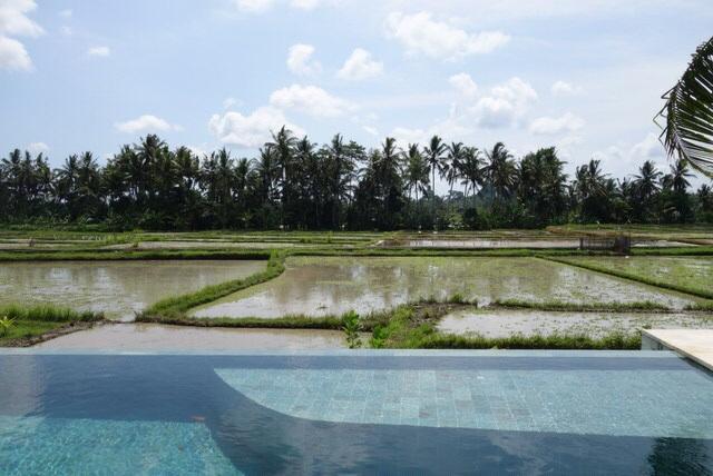 Villa Balinese Luxurious Elegance Ubud Buitenkant foto